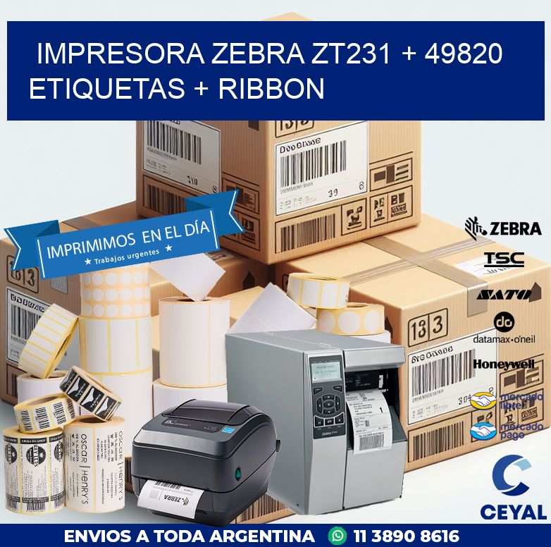 impresora zebra zt231 + 49820 etiquetas + ribbon