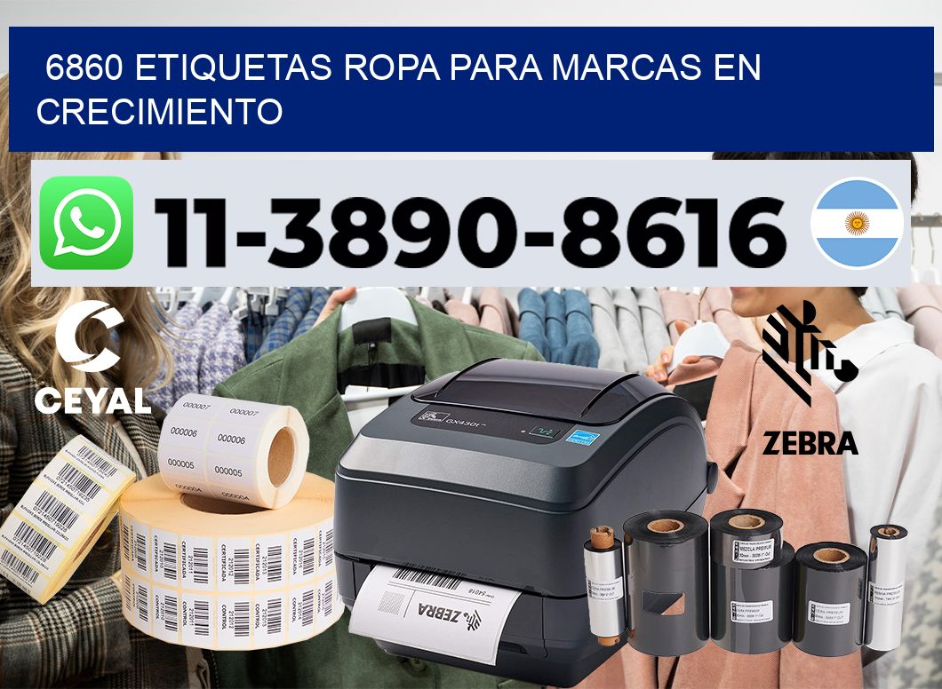 6860 Etiquetas ropa para marcas en crecimiento