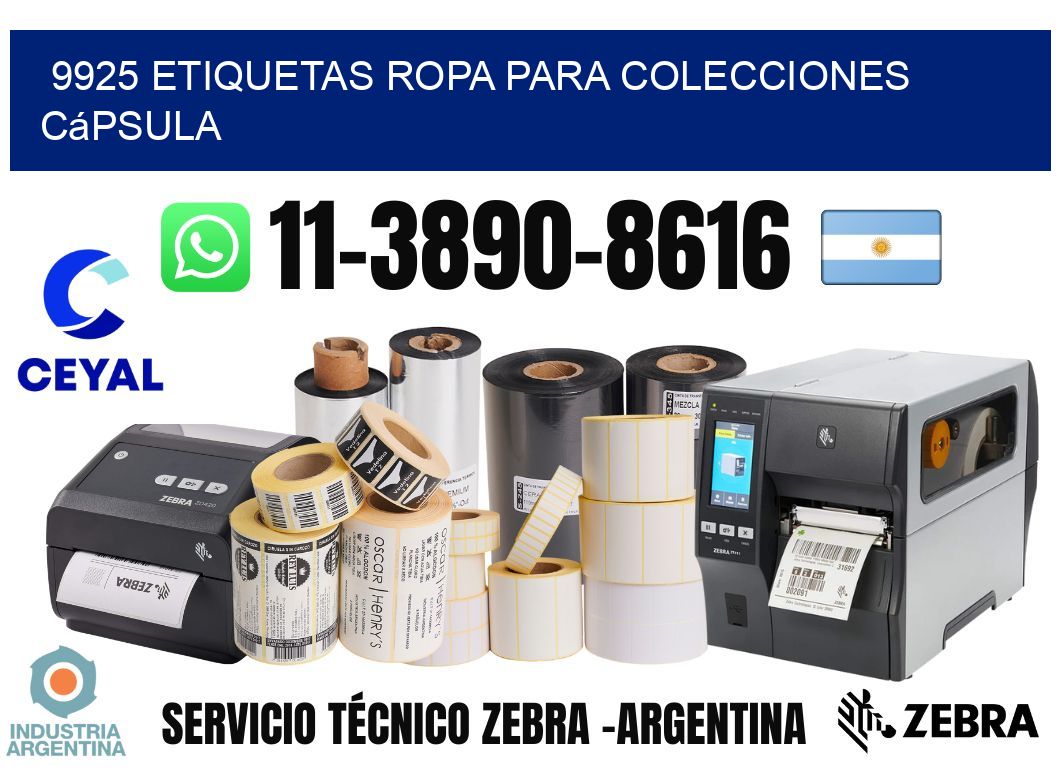 9925 Etiquetas ropa para colecciones cápsula