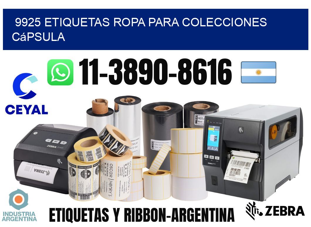 9925 Etiquetas ropa para colecciones cápsula