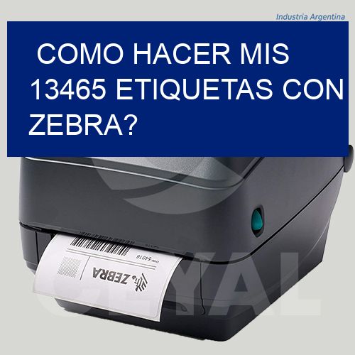 como hacer mis 13465 etiquetas con zebra?