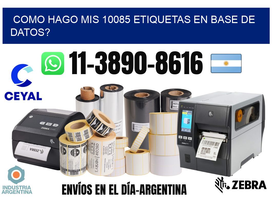 como hago mis 10085 etiquetas en base de datos?