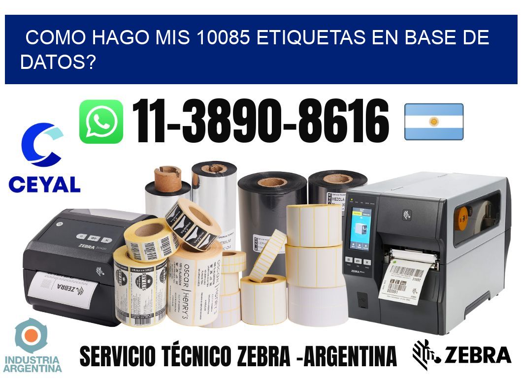 como hago mis 10085 etiquetas en base de datos?
