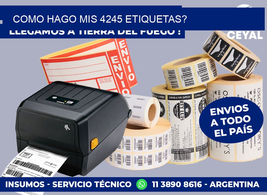 como hago mis 4245 etiquetas?