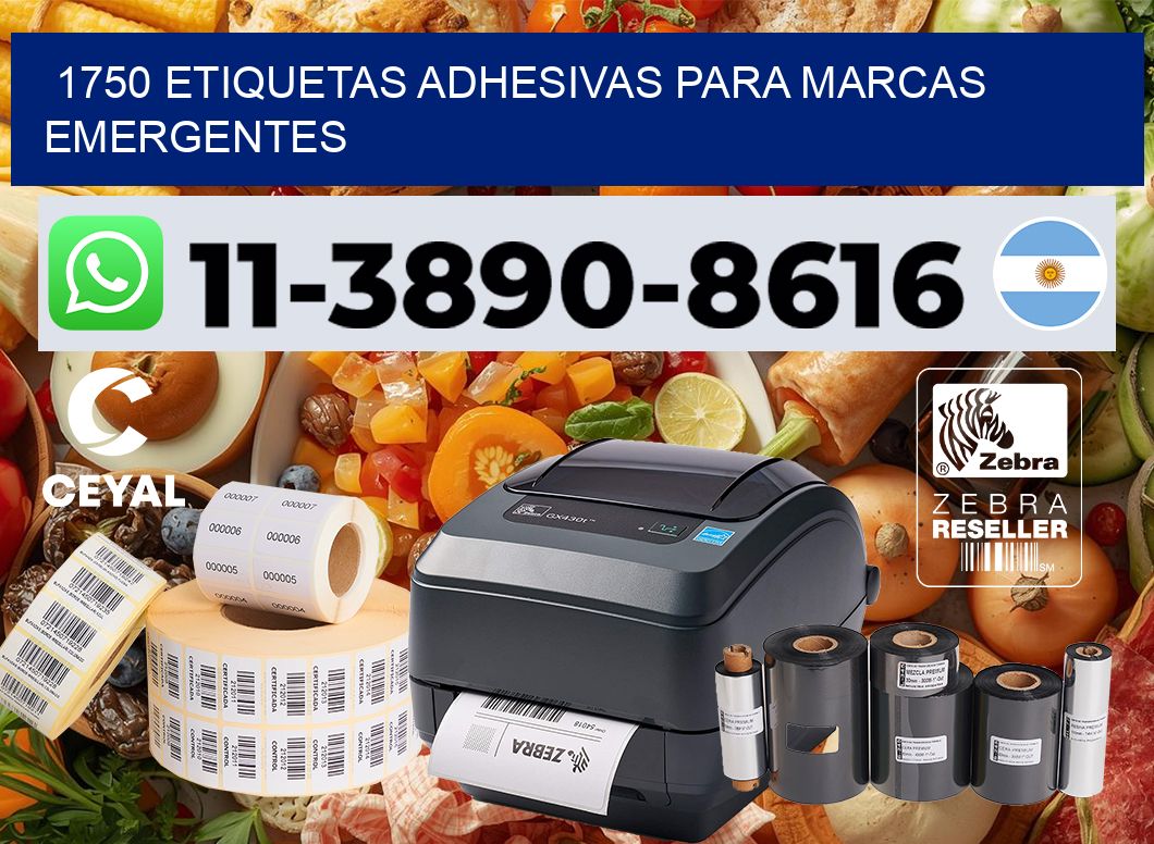 1750 Etiquetas adhesivas para marcas emergentes