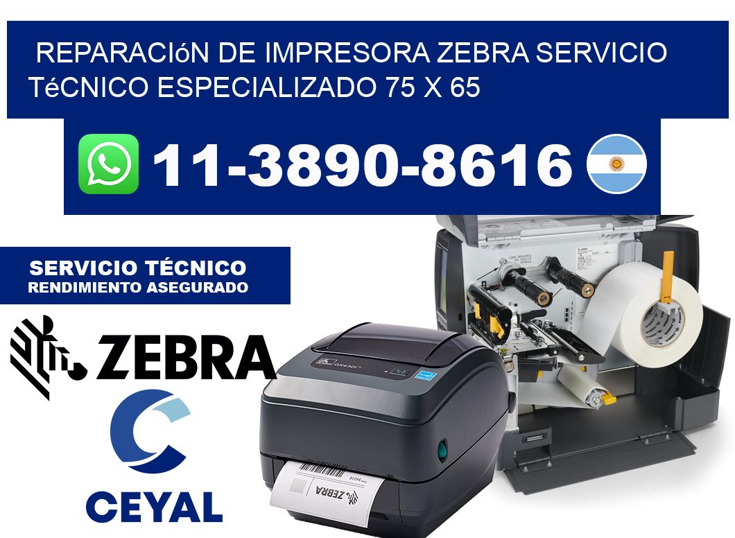 Reparación de Impresora Zebra Servicio Técnico Especializado 75 x 65