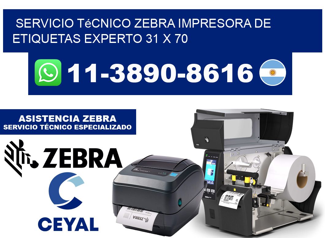 Servicio Técnico Zebra Impresora de Etiquetas Experto 31 x 70