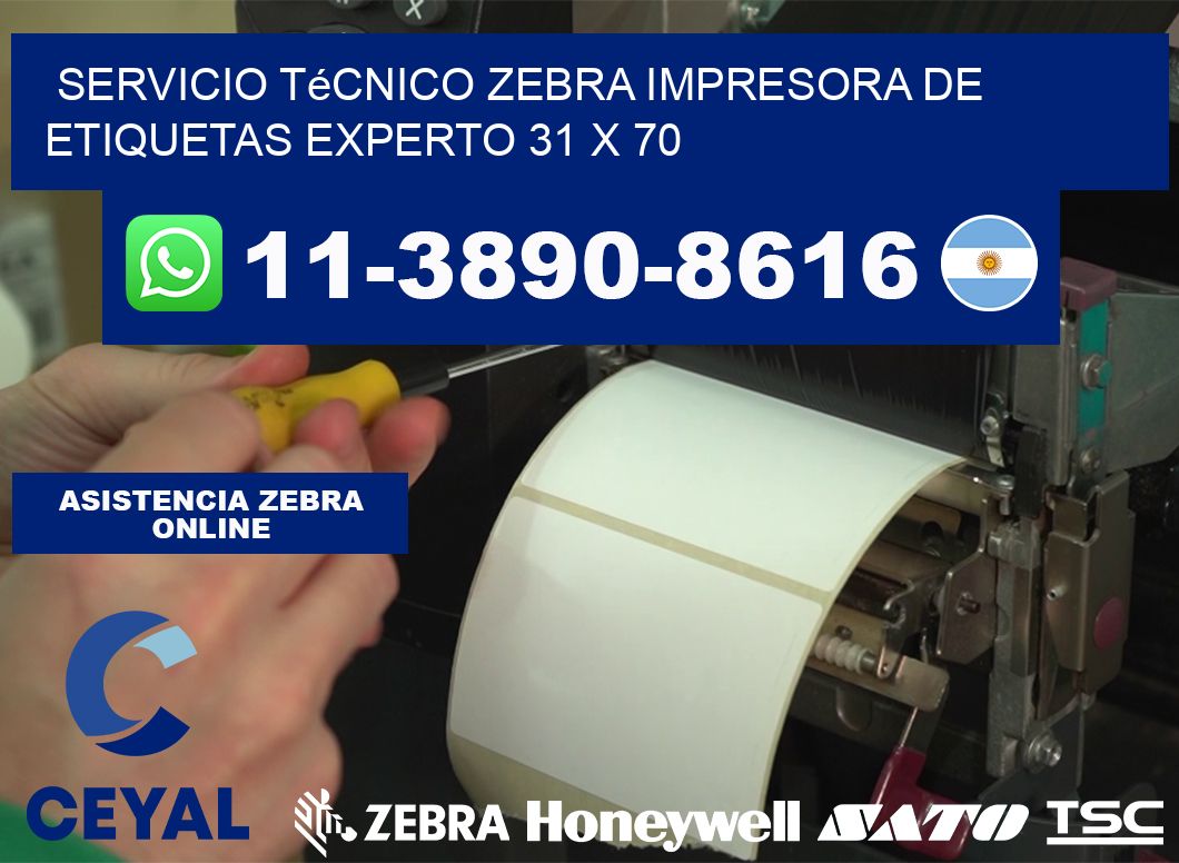 Servicio Técnico Zebra Impresora de Etiquetas Experto 31 x 70