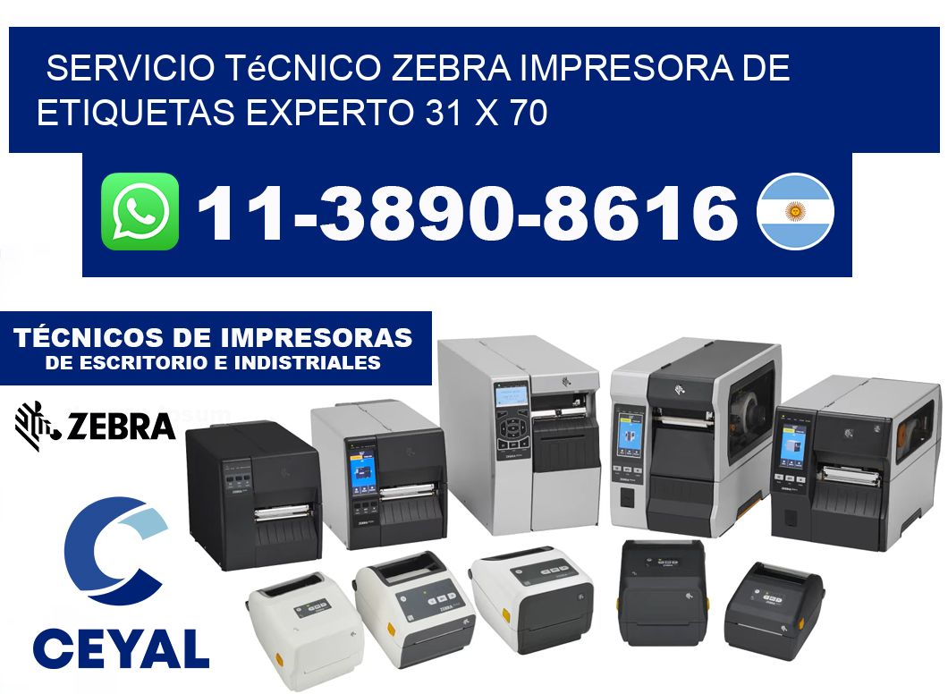Servicio Técnico Zebra Impresora de Etiquetas Experto 31 x 70