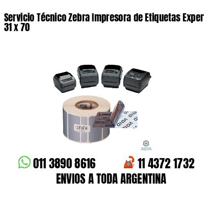 Servicio Técnico Zebra Impresora de Etiquetas Experto 31 x 70