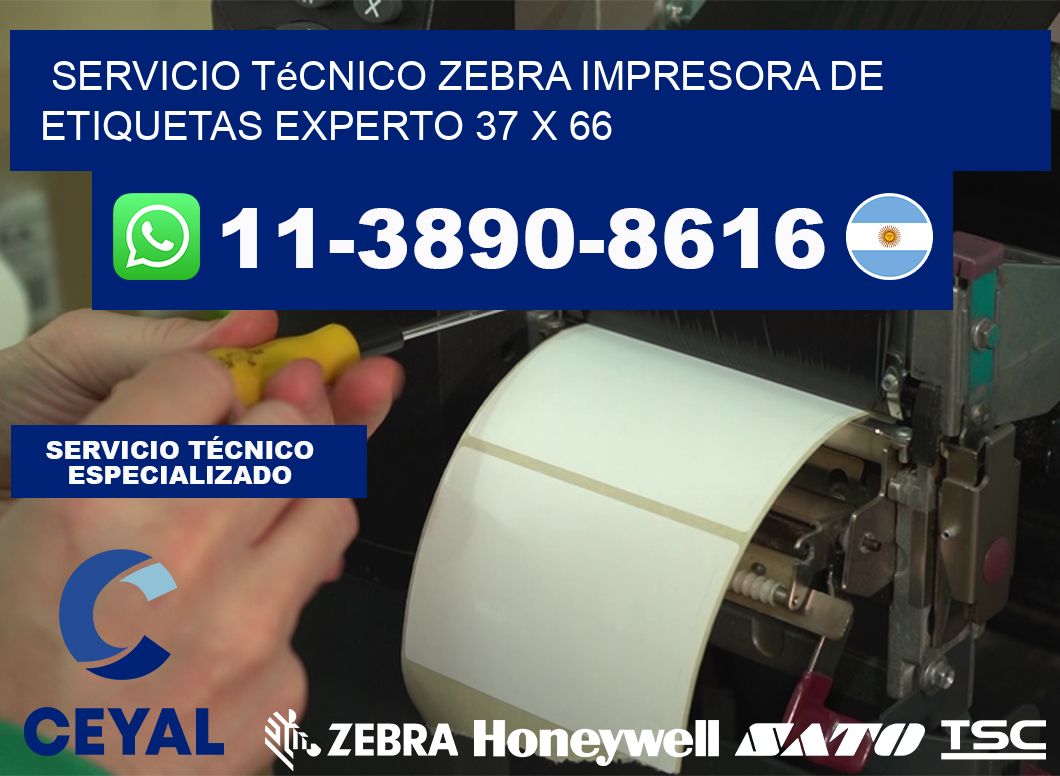 Servicio Técnico Zebra Impresora de Etiquetas Experto 37 x 66