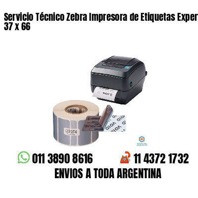 Servicio Técnico Zebra Impresora de Etiquetas Experto 37 x 66