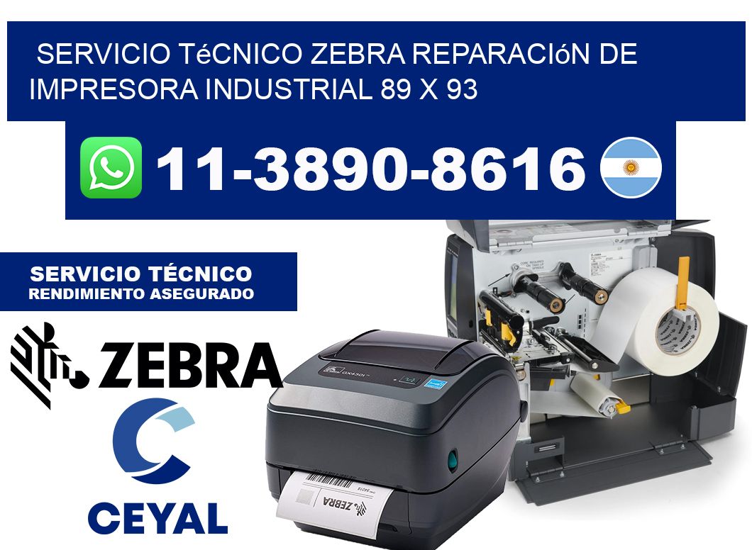 Servicio Técnico Zebra Reparación de Impresora Industrial 89 x 93