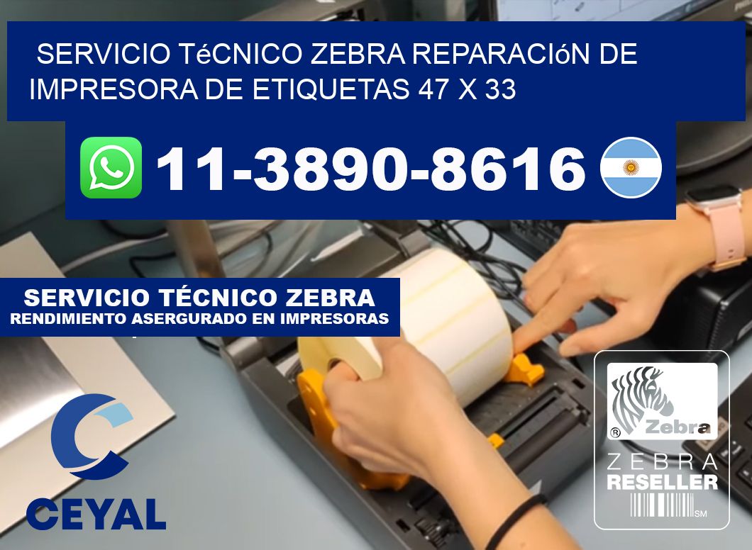 Servicio Técnico Zebra Reparación de Impresora de Etiquetas 47 x 33