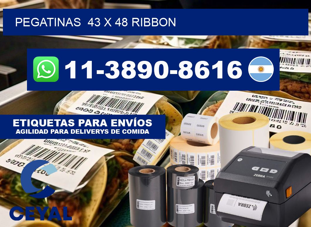 pegatinas 43 x 48 ribbon