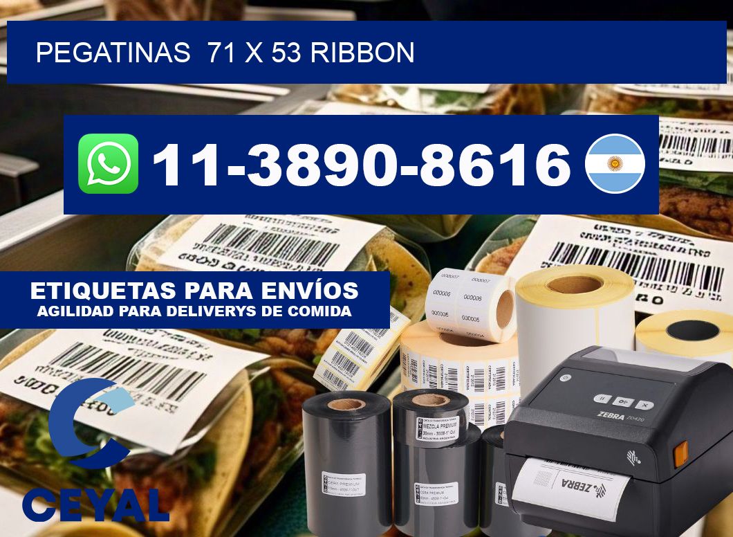 pegatinas  71 x 53 ribbon