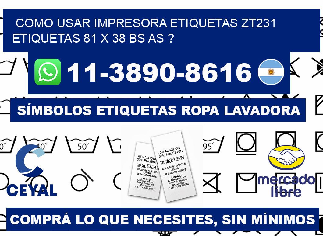 como usar impresora etiquetas zt231 etiquetas 81 x 38 BS AS ?