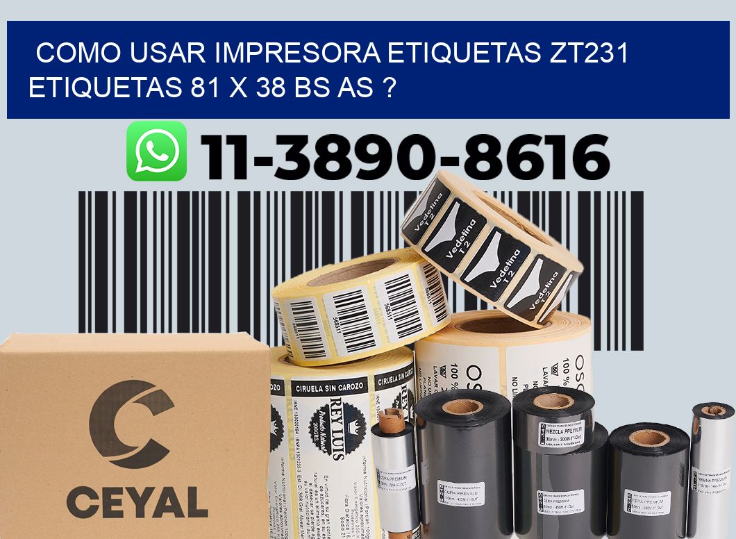 como usar impresora etiquetas zt231 etiquetas 81 x 38 BS AS ?