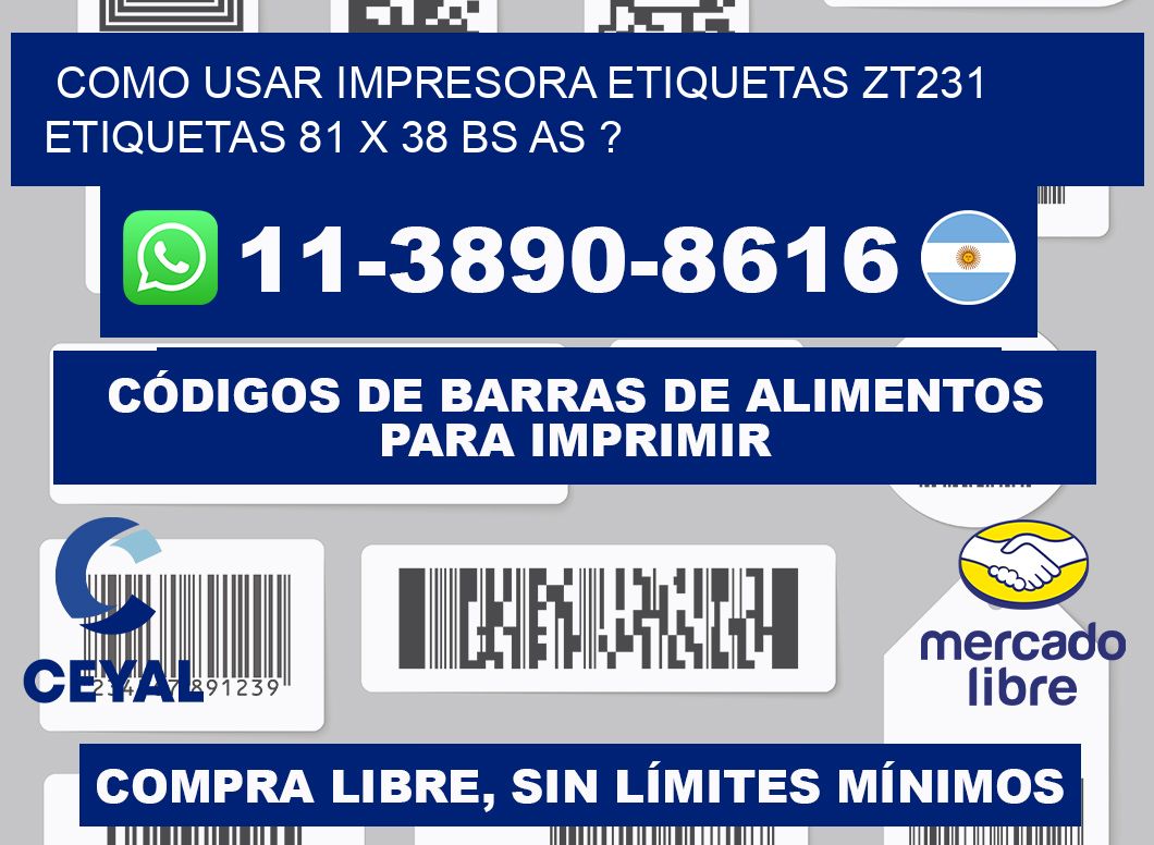 como usar impresora etiquetas zt231 etiquetas 81 x 38 BS AS ?