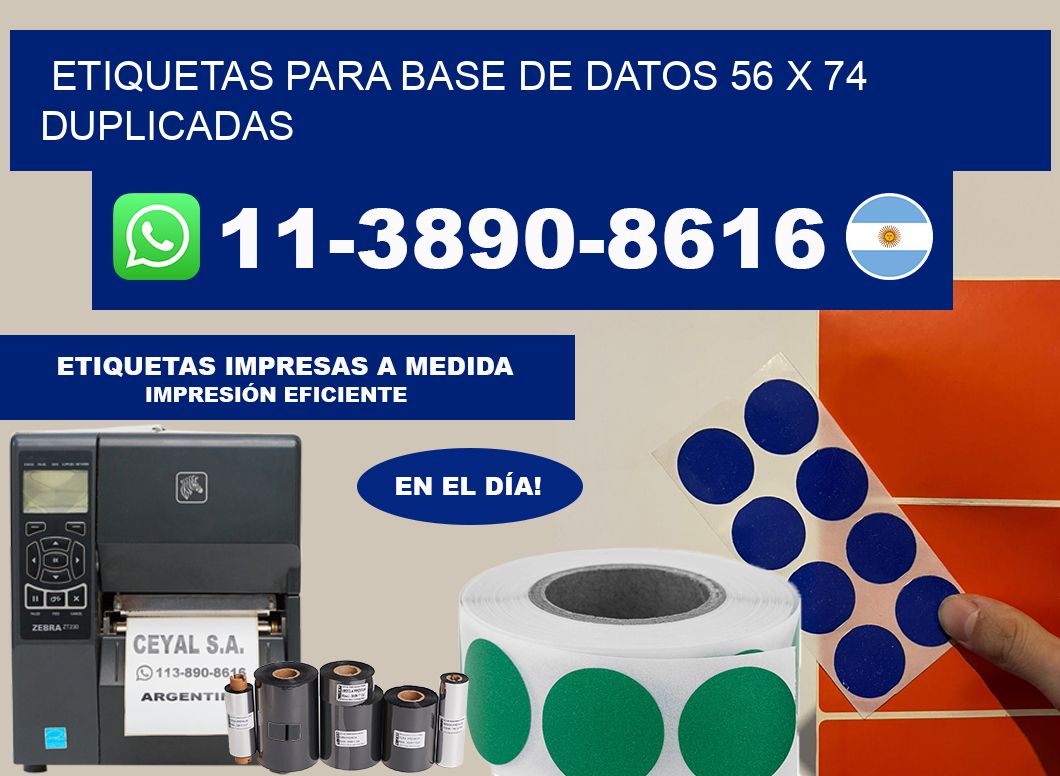 etiquetas para base de datos 56 x 74 duplicadas
