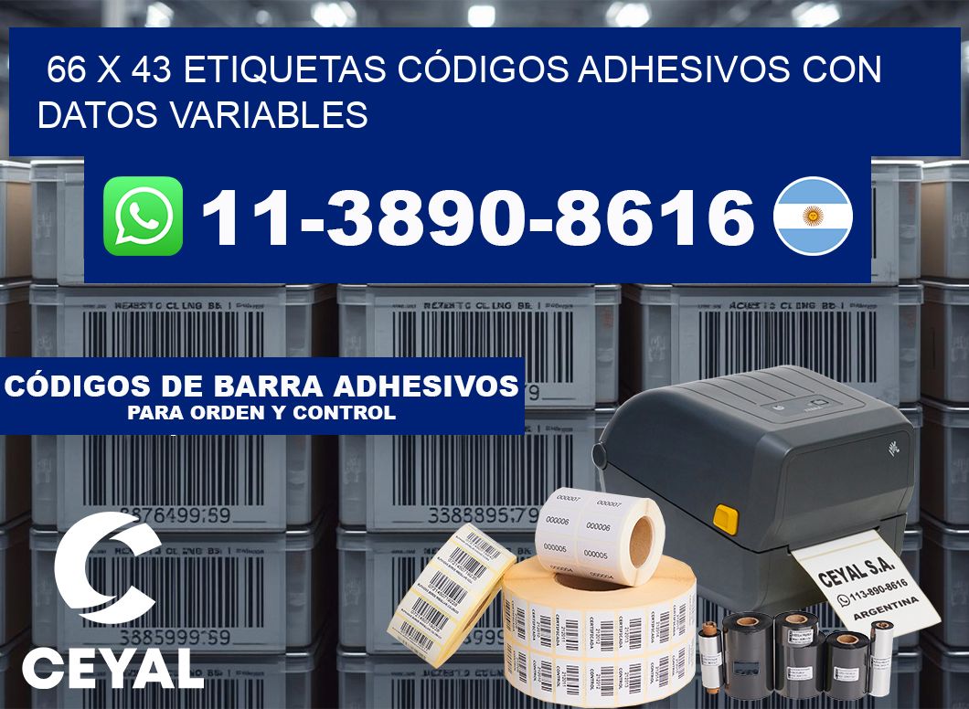 66 x 43 ETIQUETAS CÓDIGOS ADHESIVOS CON DATOS VARIABLES