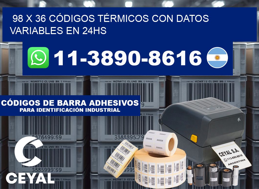 98 x 36 CÓDIGOS TÉRMICOS CON DATOS VARIABLES EN 24HS