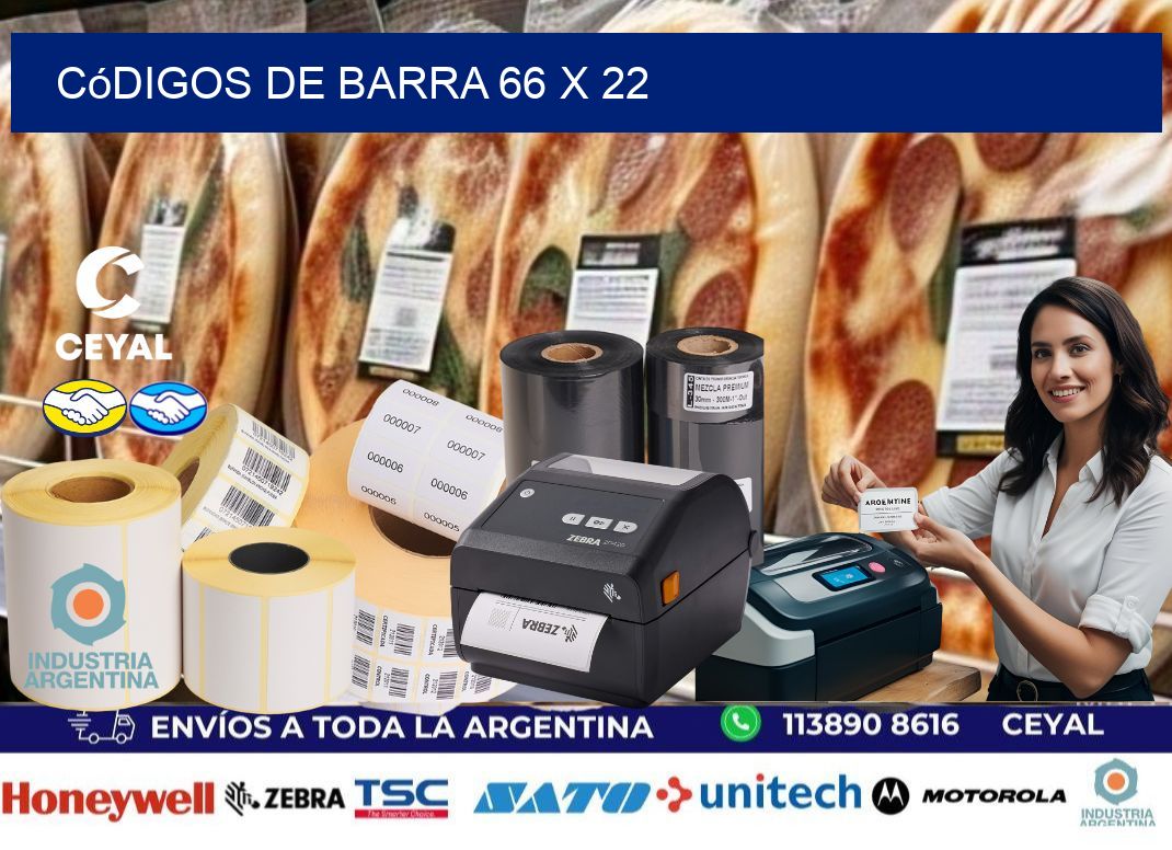 códigos de barra 66 x 22