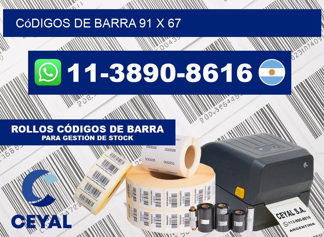 códigos de barra 91 x 67
