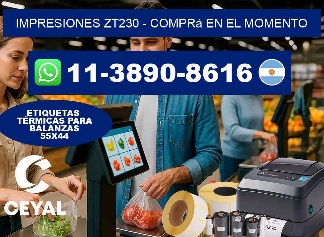 Impresiones ZT230 - Comprá en el momento