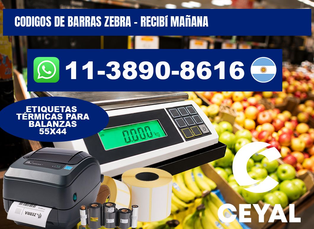 codigos de barras zebra - recibí mañana