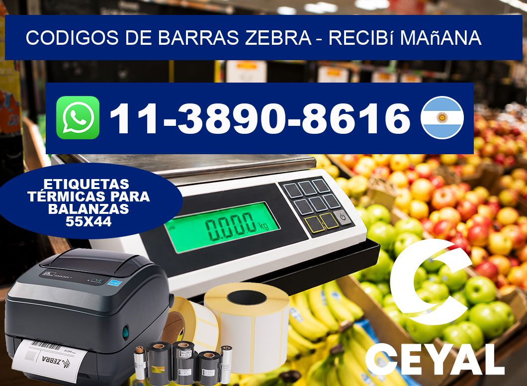 codigos de barras zebra - recibí mañana