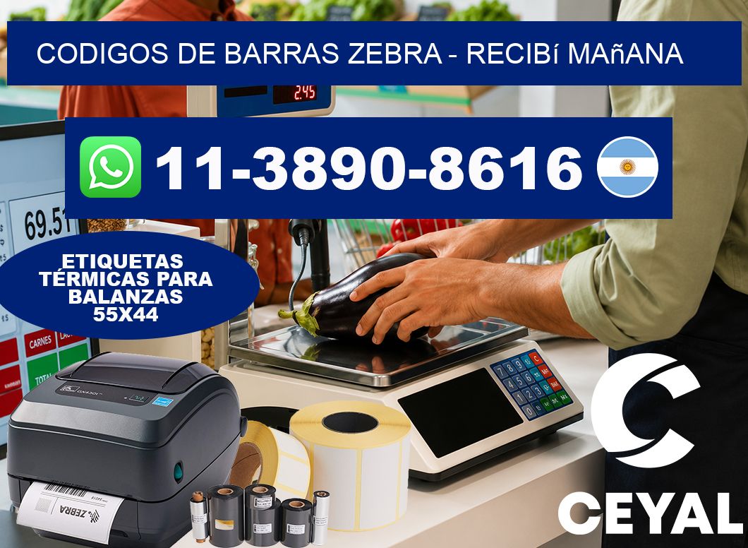 codigos de barras zebra – recibí mañana